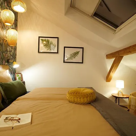 Treetop - Ausblick Ins Gruene